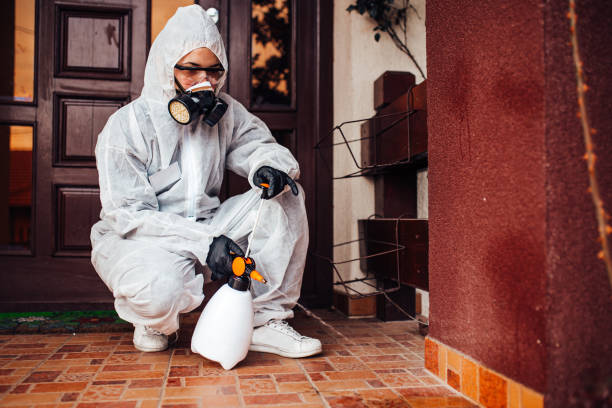 Reliable Bed Bug Control contractor in Bismarck, MO by Nex Pest Control
